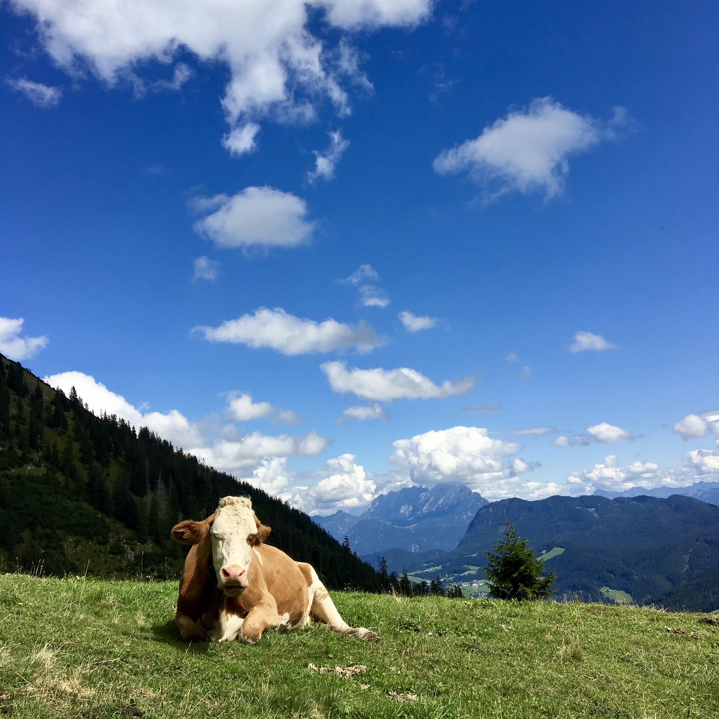 Das Gipfelbuch: Der Outdoor Podcast