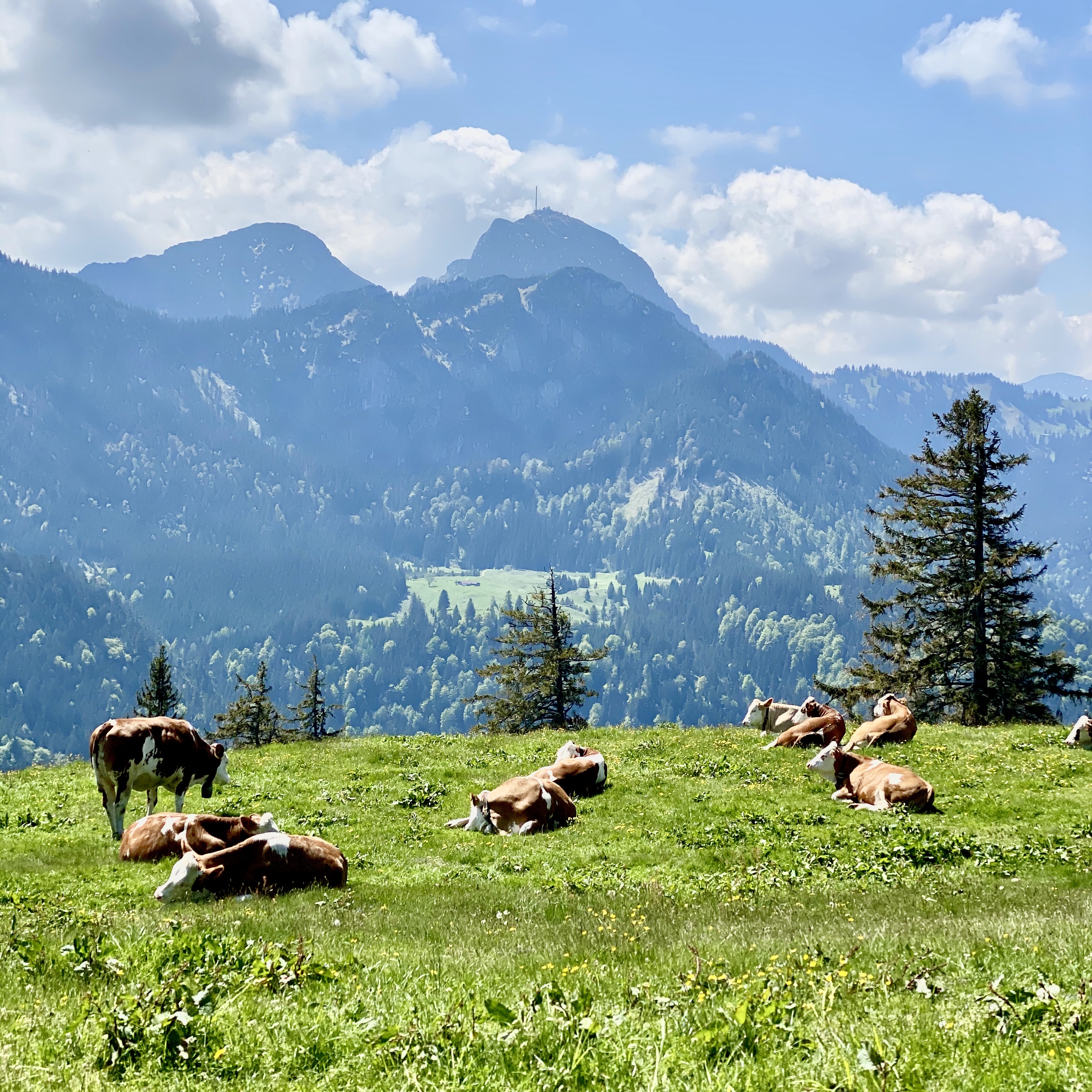 Das Gipfelbuch: Der Outdoor Podcast