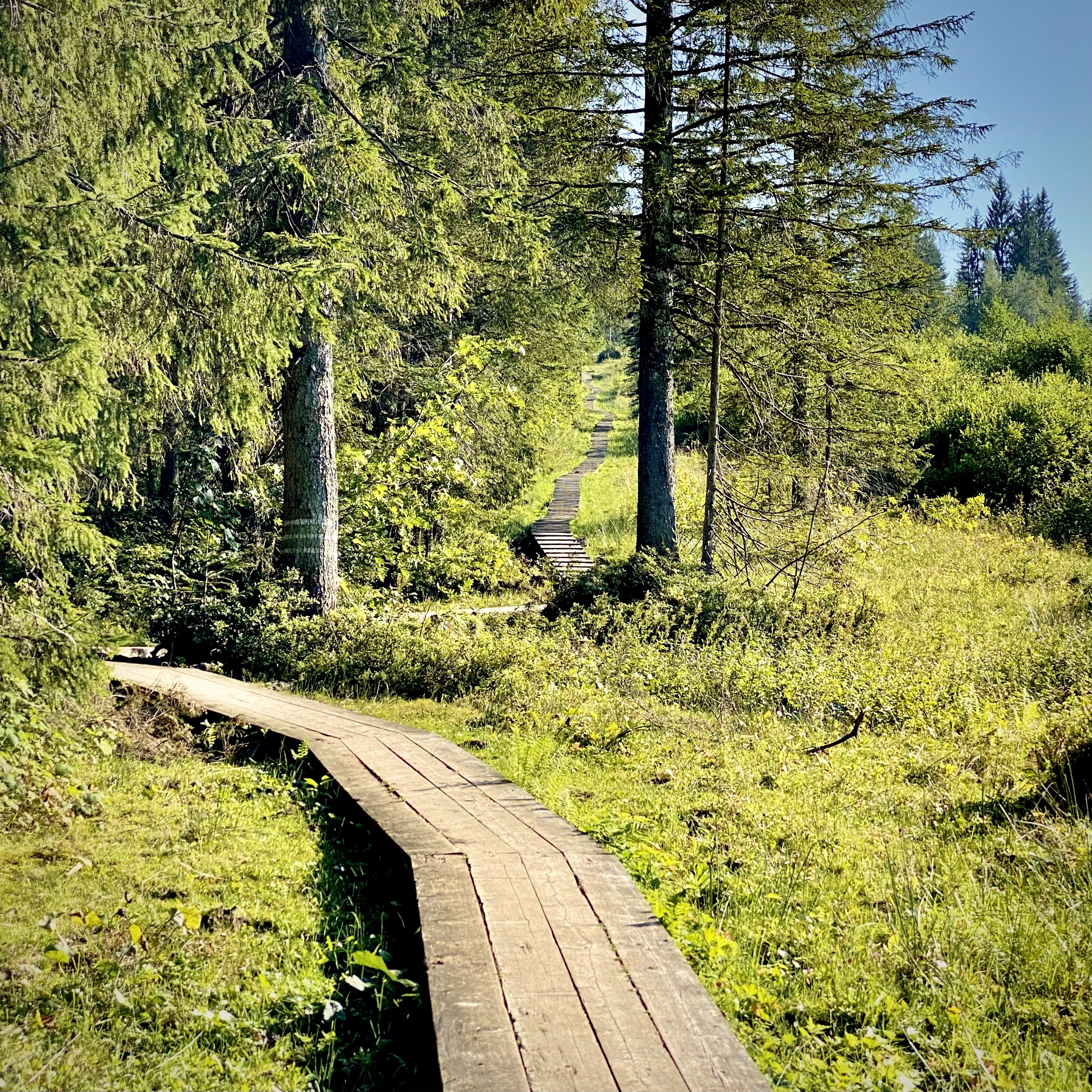 Das Gipfelbuch: Der Outdoor Podcast
